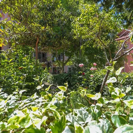 Szálloda Club Pink Palace 3*