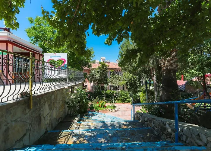 粉红宫殿俱乐部酒店 酒店 3*